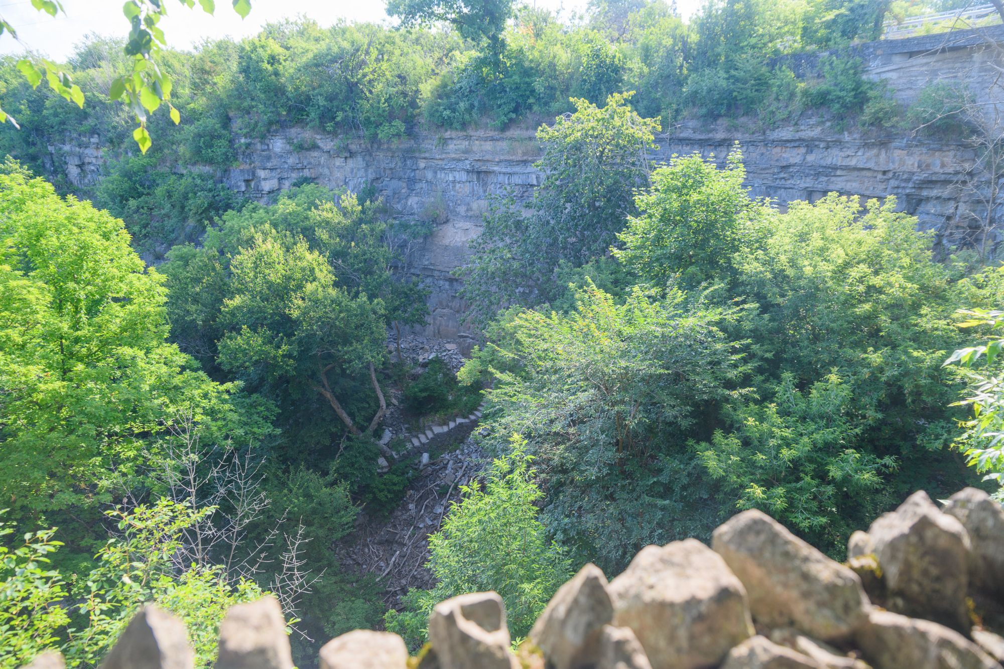 Gorge Trail, Falls, Jet Boat  (3 of 55)